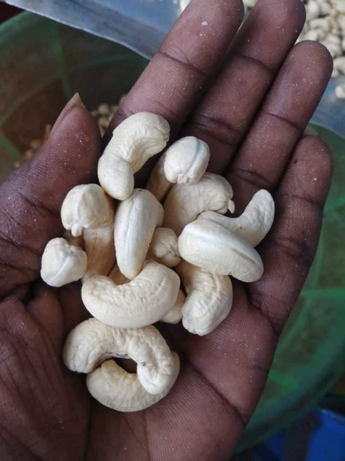 Natural cashew nuts pure white