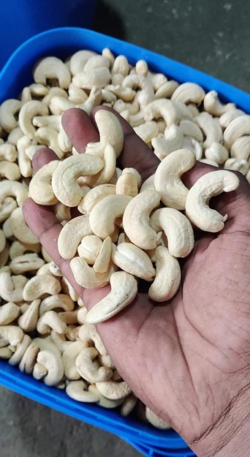 new crop cashew nuts kernels for sale