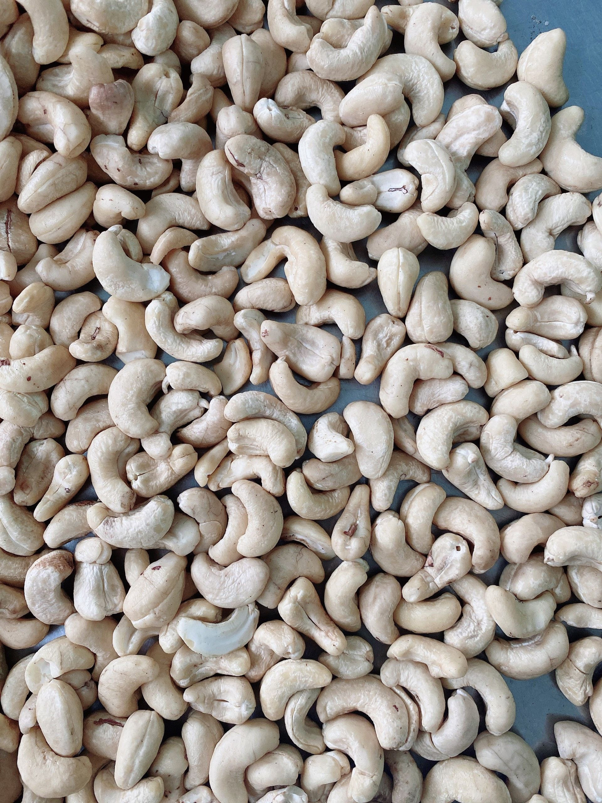 Wholesale Cashew Nuts W180,W240 AND W320