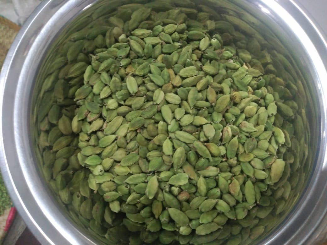 Best Grade 8mm Green Cardamom for sale