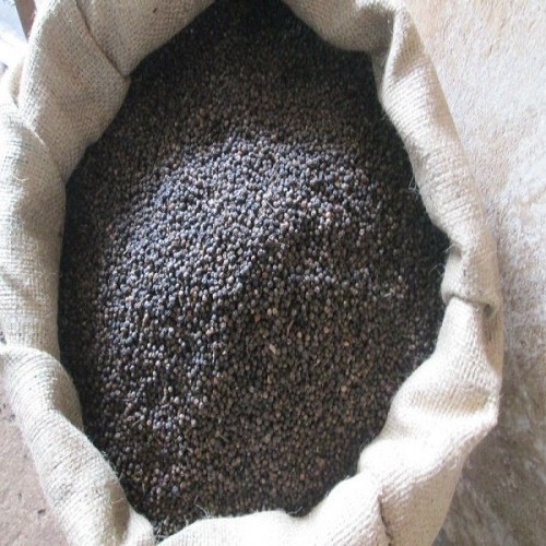 BLACK PEPPER