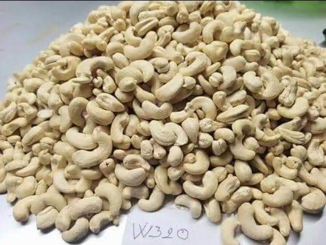 raw cashew nuts without shell.