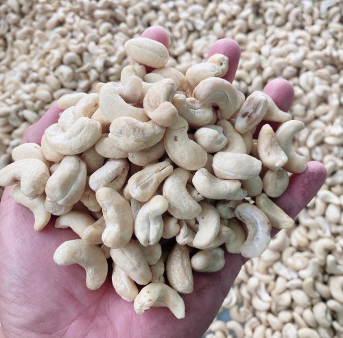 High Quality Raw Cashew Nuts For Sale w320,w240 and w320 new crop