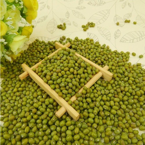 Green Mung Beans for sprouting ,small size,2.6mm-3.5mm,with high quality