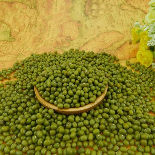 Green Mung Beans for sprouting ,small size,2.6mm-3.5mm,with high quality