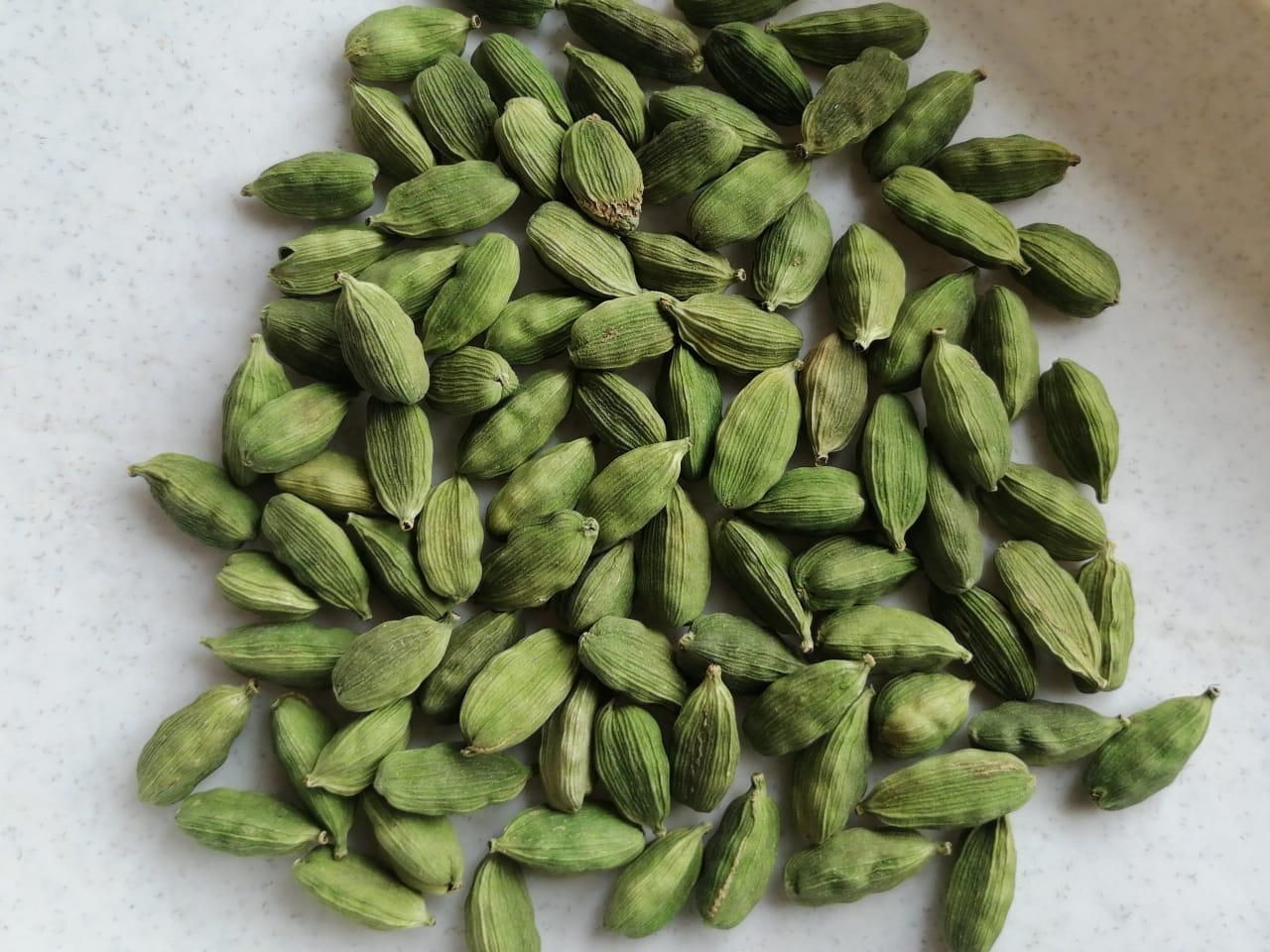 Large Size Green Cardamom