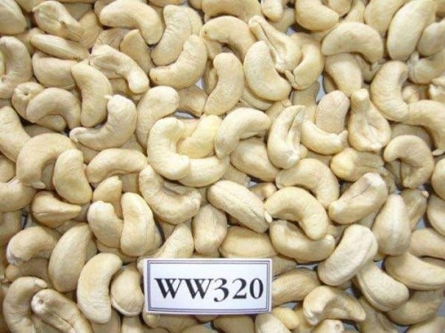 CASHEW NUT WW320