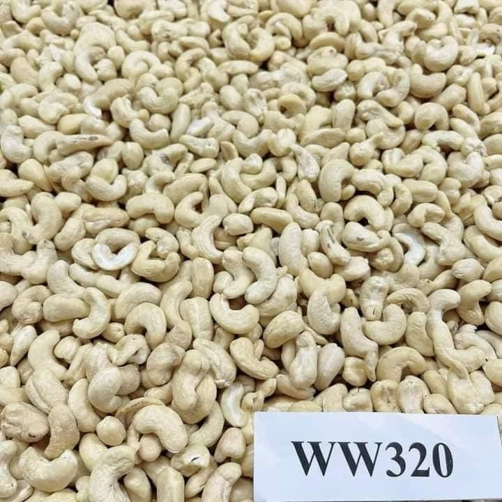 Supplier  of cashew nuts w320 w240 and W180