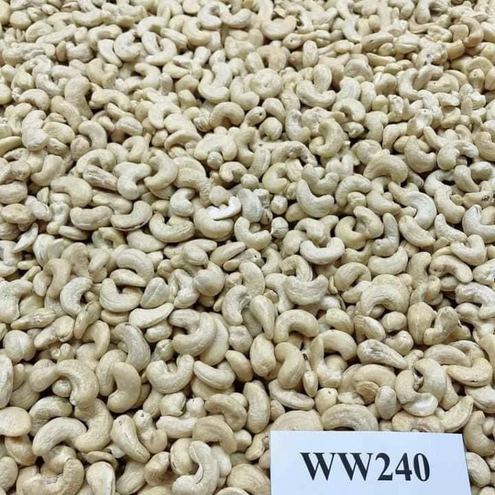 Raw Cashew Nuts Kernel Ready for Export