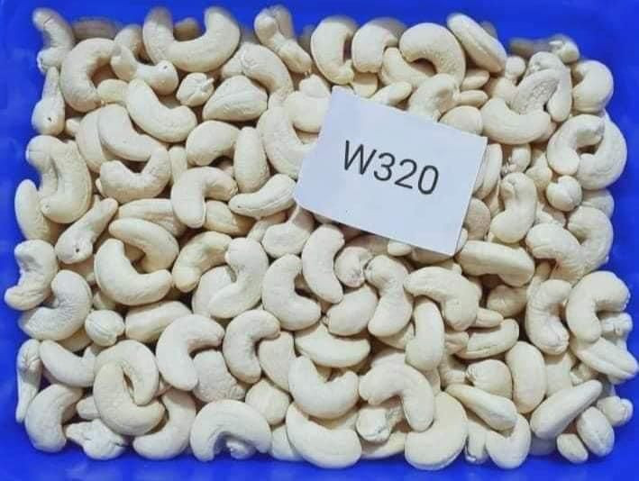 PURE WHITE  CASHEW NUTS W180/W240/W320