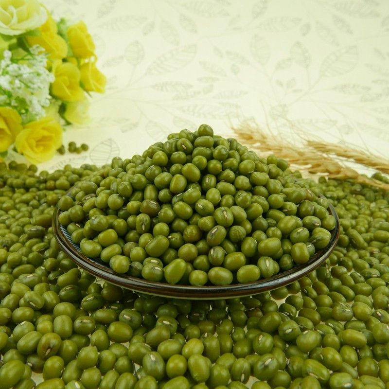 Green Mung Beans for sprouting ,small size,2.6mm-3.5mm,with high quality